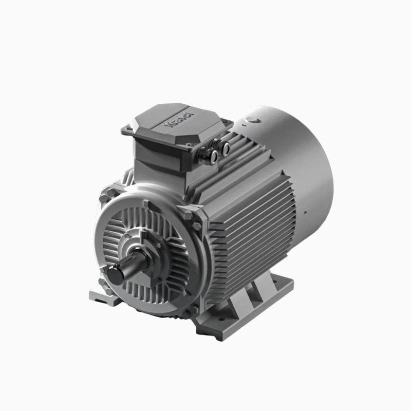 IE4 Electric Motor
