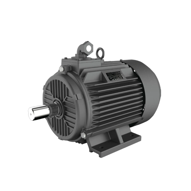 Permanent Magnet Motor Synchronous